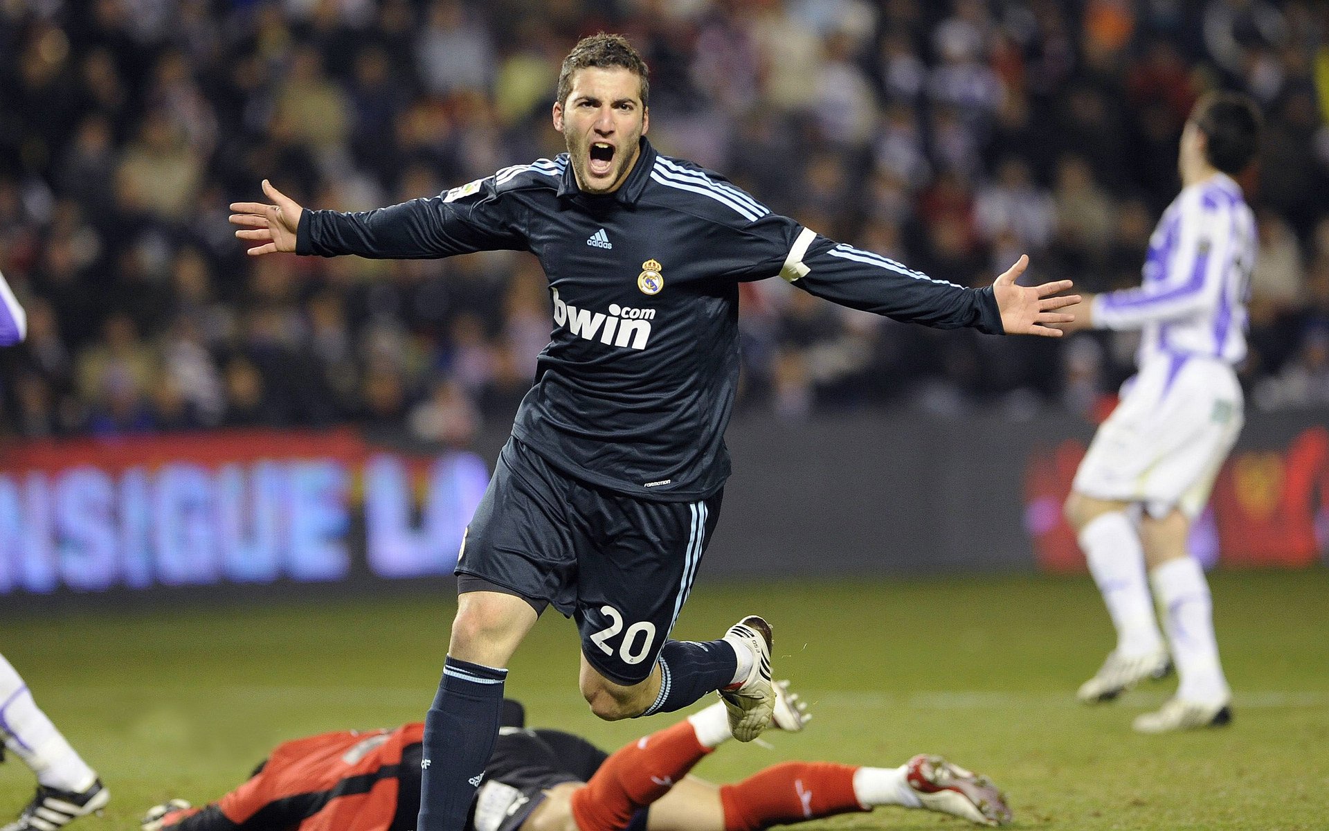 _极夜的极限跑：挑战北极极光的速度极限_，极夜在南极还是北极