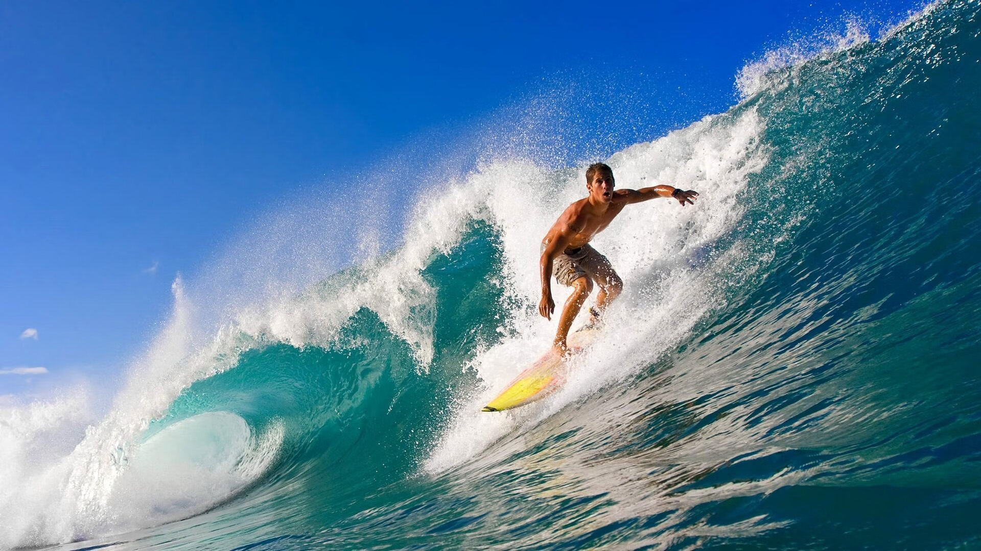 炉石传说布鲁克林杯再掀策略风暴，炉石传说最新布丁